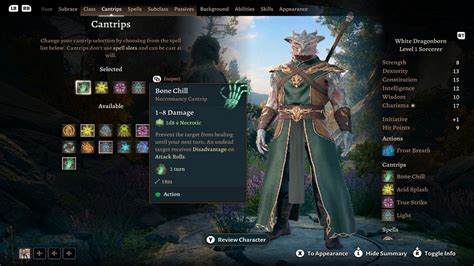 Best Sorcadin build .